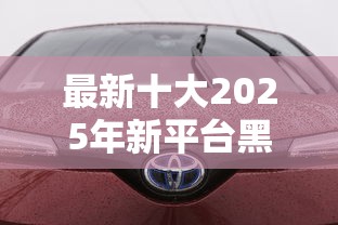 最新十大2025年新平台黑户也能下款这种，专治借1000不看征信的平台