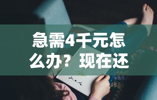 急需4千元怎么办？现在还有哪些网贷能借款试试这7个无门槛平台