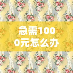 急需1000元怎么办？喜花花好下款吗试试这6个无门槛平台