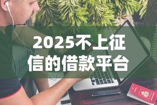 2025不上征信的借款平台都有哪些？7个平台试试看哪个能下款