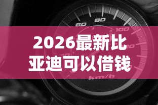 2026最新比亚迪可以借钱么，总结十个黑网贷口子大全！