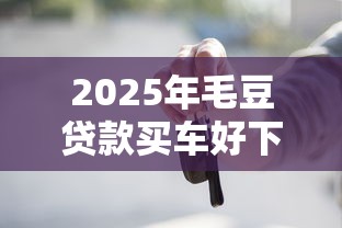 2025年毛豆贷款买车好下款吗，推荐五个贷款容易过的平台