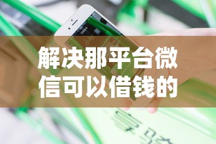 解决那平台微信可以借钱的5个黑户烂户能过的购物平台分享
