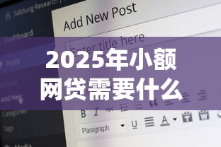 2025年小额网贷需要什么条件才能申请，试试这5个网贷比较好的平台