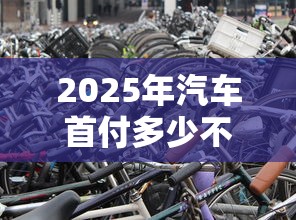 2025年汽车首付多少不看征信：看看这五个网黑烂户无视风控口子