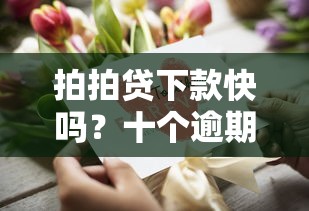 拍拍贷下款快吗？十个逾期也不怕的花户下款的口子2025