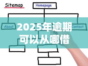 2025年逾期可以从哪借钱？推荐5个网贷黑户必过软件