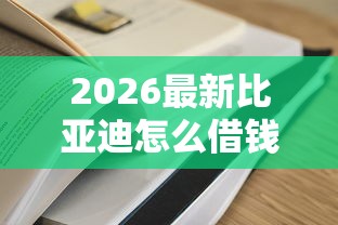 2026最新比亚迪怎么借钱，总结十个比较容易过的贷款平台！