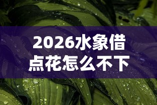 2026水象借点花怎么不下款，差3000元就选这8个平台