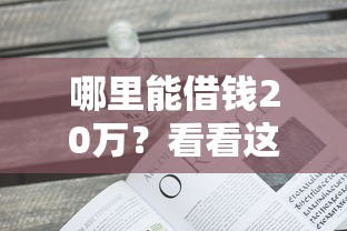 哪里能借钱20万？看看这7个失信人员可以借钱的网贷口子怎么样