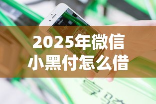 2025年微信小黑付怎么借钱的：分享5个哪些网贷平台不上征信