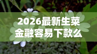 2026最新生菜金融容易下款么，总结十个花户能下款的口子！