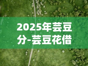 2025年芸豆分-芸豆花借钱口子：看看这5个比信用飞更好下款的口子