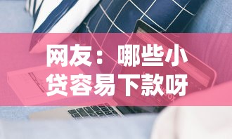 网友：哪些小贷容易下款呀？求介绍几款借款软件