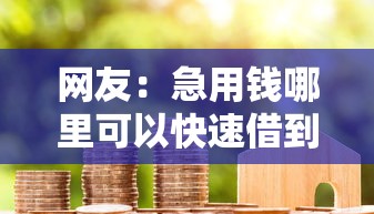 网友：急用钱哪里可以快速借到？求介绍几款借款平台最安全可靠利息低