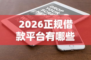 2026正规借款平台有哪些，差6千元就选这6个平台