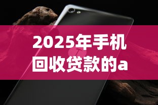 2025年手机回收贷款的app，整合5个黑白贷款不是高炮的软件