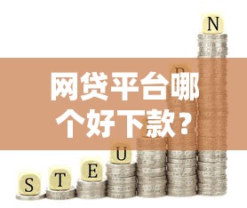 网贷平台哪个好下款？十大黑户可以借款的小额平台推荐