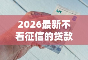 2026最新不看征信的贷款平台，总结十个2020年12月好下款的口子！