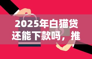 2025年白猫贷还能下款吗，推荐5个平台借钱好通过