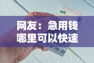网友：急用钱哪里可以快速借到？求介绍几款平台借钱安全可靠