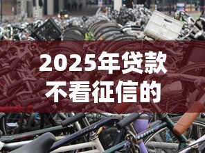 2025年贷款不看征信的小贷公司，分享五个靠谱的车抵押贷款平台