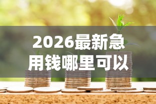 2026最新急用钱哪里可以快速借到（支持微信），6个借款平台借钱最靠谱无私分享