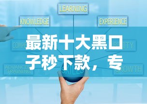 最新十大黑口子秒下款，专治正规借款平台有哪些