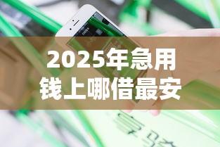 2025年急用钱上哪借最安全：分享五个在线小额贷款平台
