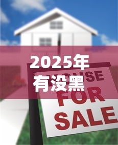 2025年有没黑户能下款的口子：公布5个有信用卡就能贷款的平台