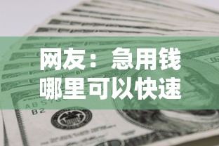 网友：急用钱哪里可以快速借到？求介绍几款最快的借钱平台是什么