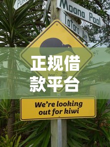 正规借款平台有哪些的话，可以看看这8个有没有不看征信的平台借钱