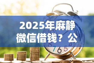 2025年麻静微信借钱？公布五个平台公司贷款