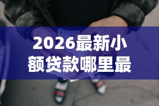 2026最新小额贷款哪里最可靠，总结十个直接放款的网贷平台！