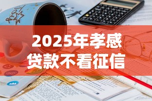 2025年孝感贷款不看征信：推荐五个19岁可以贷款的平台