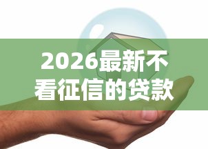 2026最新不看征信的贷款平台（支持支付宝），5个网上借钱安全可靠的平台无私分享
