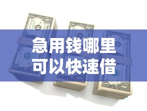 急用钱哪里可以快速借到？这7个手机借钱平台值得一试