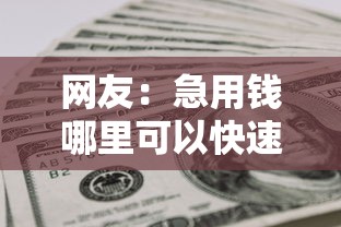 网友：急用钱哪里可以快速借到？求介绍几款黑户贷款口子秒下的