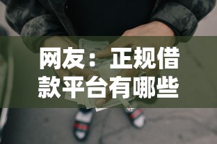 网友：正规借款平台有哪些？求介绍几款网贷最好的平台