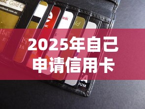 2025年自己申请信用卡不过？整合五个可靠的小额贷款平台