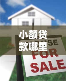 小额贷款哪里最可靠？十大贷款加盟平台推荐