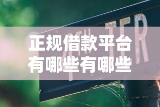 正规借款平台有哪些有哪些？7个黑户放贷的口子推荐给你