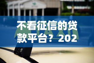 不看征信的贷款平台？2026最新测评10个国外贷款平台