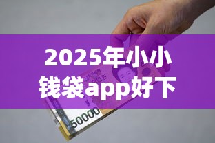 2025年小小钱袋app好下款吗？梳理5个贷款利率最低的平台