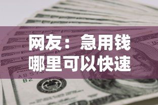 网友：急用钱哪里可以快速借到？求介绍几款芝麻分700能秒下的软件