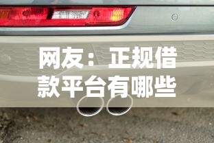 网友：正规借款平台有哪些？求介绍几款车贷款平台
