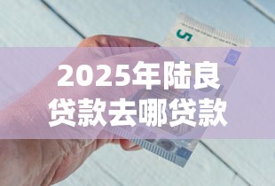 2025年陆良贷款去哪贷款好下款，梳理五个2025比较好下款的借款平台