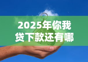 2025年你我贷下款还有哪些是秒过的，整理五个能借20000的贷款平台
