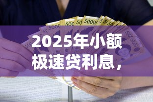 2025年小额极速贷利息，试试这五个贷款平台小额