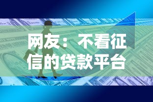 网友：不看征信的贷款平台？求介绍几款资产包口子